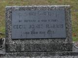 image of grave number 879456